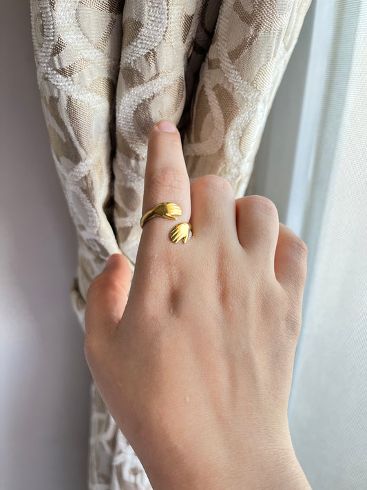 Stainless steel ring