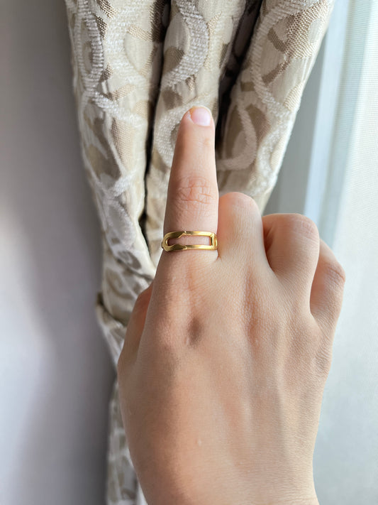Stainless steel ring