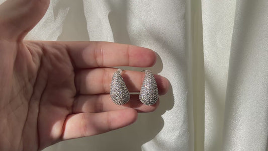 Silver sparkle earrings